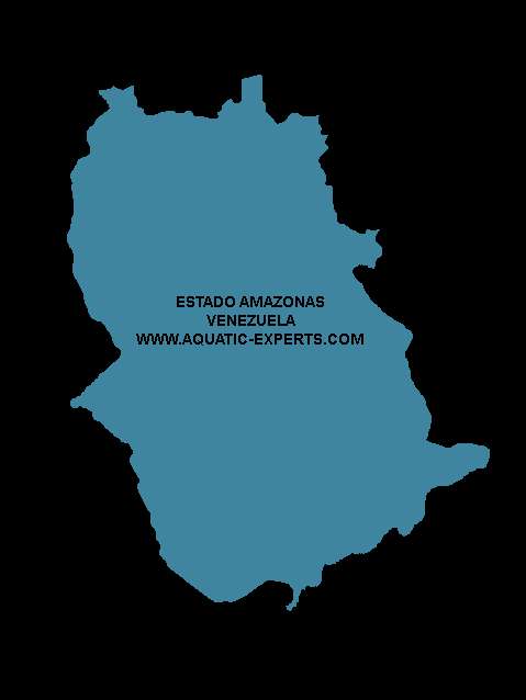 RIOS DEL ESTADO AMAZONAS VENEZUELA